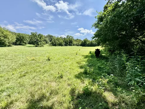 398 Deer Creek Rd, Noel, MO 64854 photo 28