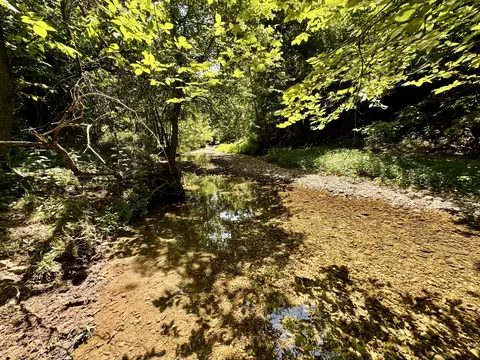398 Deer Creek Rd, Noel, MO 64854 photo 4