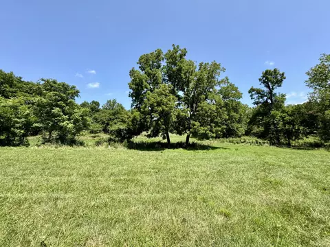 398 Deer Creek Rd, Noel, MO 64854 photo 27
