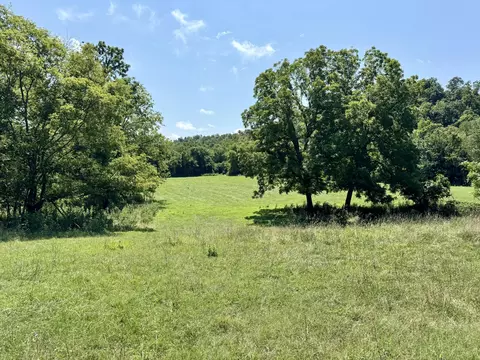 398 Deer Creek Rd, Noel, MO 64854 photo 34