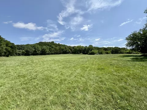 398 Deer Creek Rd, Noel, MO 64854 photo 5