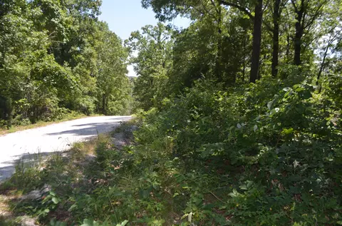 lot26 1 High View Cir, Bruner, MO 65620 photo 7