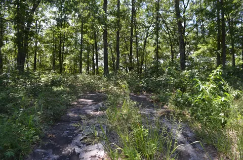 lot26 1 High View Cir, Bruner, MO 65620 photo 3