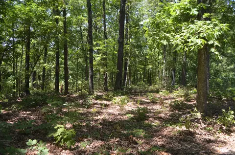 lot26 1 High View Cir, Bruner, MO 65620 photo 4