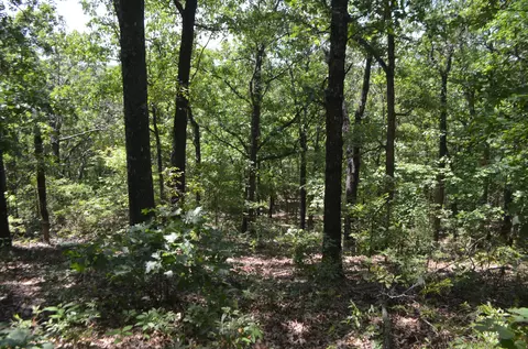 lot26 1 High View Cir, Bruner, MO 65620 photo 5