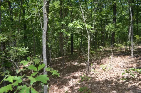 lot26 1 High View Cir, Bruner, MO 65620 photo 6