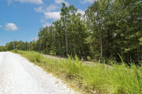 tbd Alyeska Point Rd, Lampe, MO 65681 photo 5