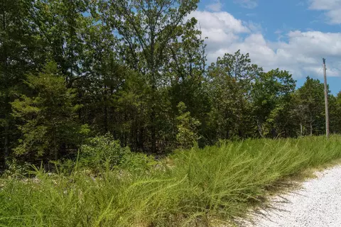 tbd Alyeska Point Rd, Lampe, MO 65681 photo 6