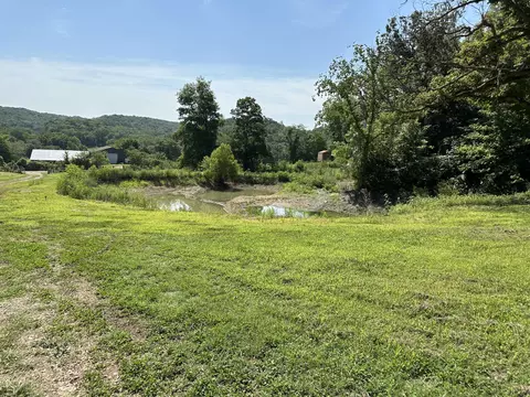 1315 Miser Rd, Noel, MO 64854 photo 7