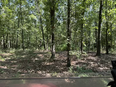 1315 Miser Rd, Noel, MO 64854 photo 4