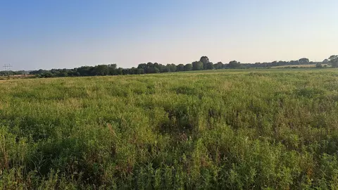 000 Johns Ford Rd, Rogersville, MO 65742