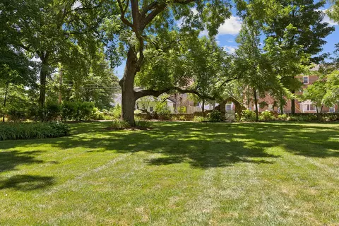 1314 E Walnut St, Springfield, MO 65802 photo 69
