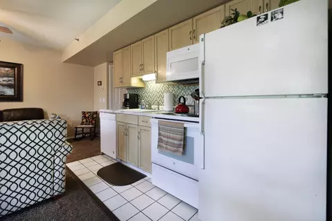 700 Fall Creek Dr #1, Branson, MO 65616 photo 5