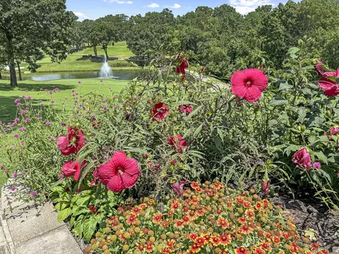 170 Bunker Ridge Dr #8, Branson, MO 65616 photo 30