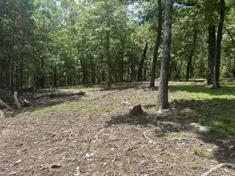2239 Pine Hollow Rd, Protem, MO 65733 photo 20