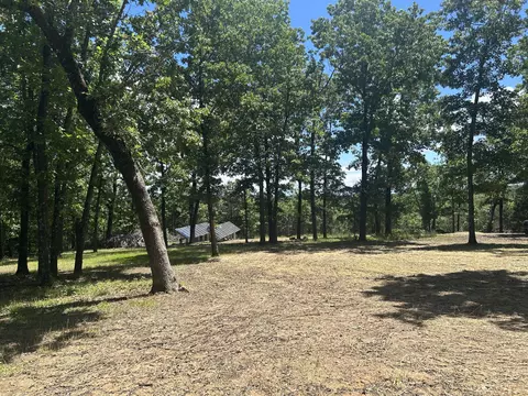 2239 Pine Hollow Rd, Protem, MO 65733 photo 18