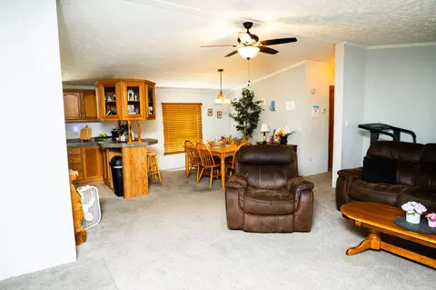 2258 Turnbo Rd, Marshfield, MO 65706 photo 8