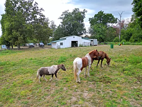 17479 State Hwy 76, Ava, MO 65608 photo 44