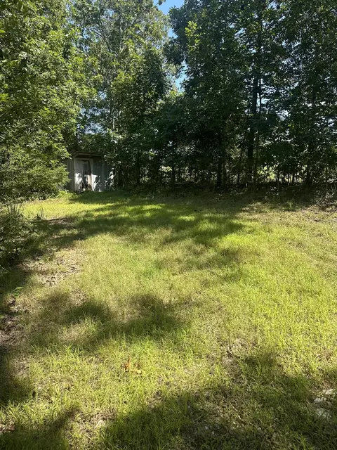 000 County Road 14-353, Drury, MO 65638 photo 6