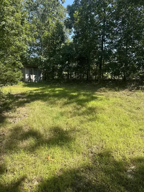 000 County Road 14-353, Drury, MO 65638 photo 7
