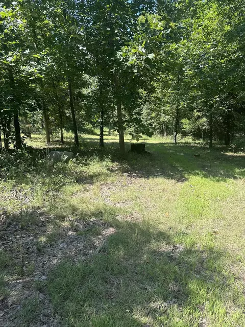 000 County Road 14-353, Drury, MO 65638 photo 3