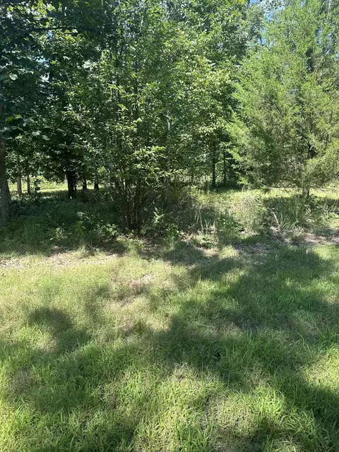 000 County Road 14-353, Drury, MO 65638 photo 4