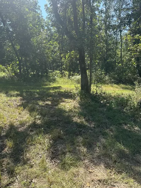 000 County Road 14-353, Drury, MO 65638 photo 2