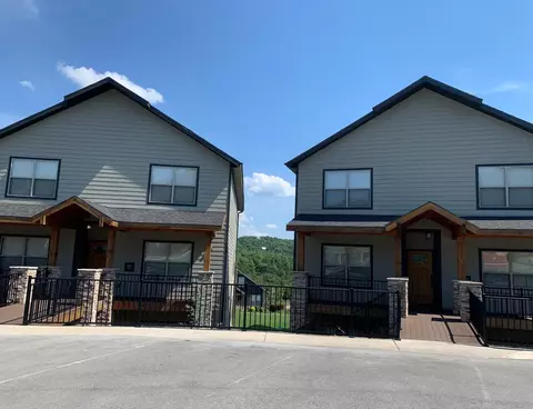 162 Antlers Ln #7, Indian Point, MO 65616 photo 3