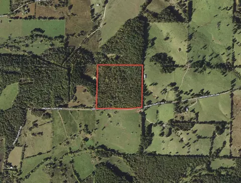 2991 County Road 256, Thayer, MO 65791 photo 2