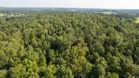2991 County Road 256, Thayer, MO 65791 photo 6