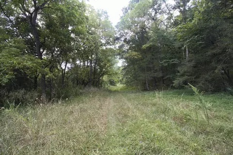 Tract 4 Route 4, Squires, MO 65755 photo 13
