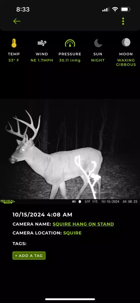 Tract 4 Route 4, Squires, MO 65755 photo 27