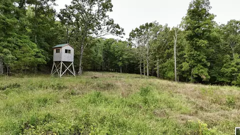 Tract 4 Route 4, Squires, MO 65755 photo 3