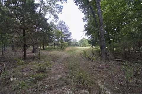 Tract 4 Route 4, Squires, MO 65755 photo 16