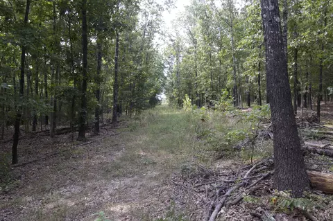 Tract 4 Route 4, Squires, MO 65755 photo 18