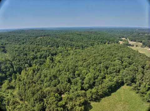 Tract 4 Route 4, Squires, MO 65755 photo 10