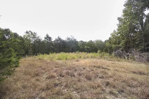 Tract 4 Route 4, Squires, MO 65755 photo 21