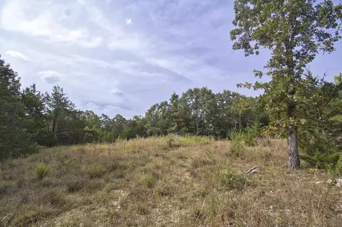 Tract 4 Route 4, Squires, MO 65755 photo 22