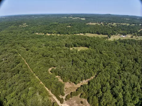 Tract 4 Route 4, Squires, MO 65755 photo 12