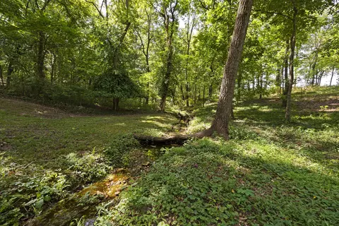 139 Shepherd Ct, Sparta, MO 65753 photo 13