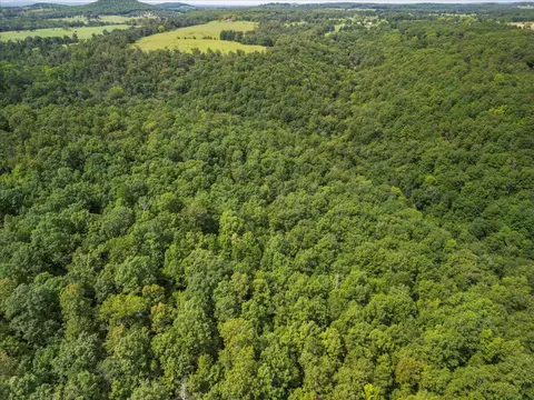 2693 County Road E 14-279 Rd, Dora, MO 65637 photo 36