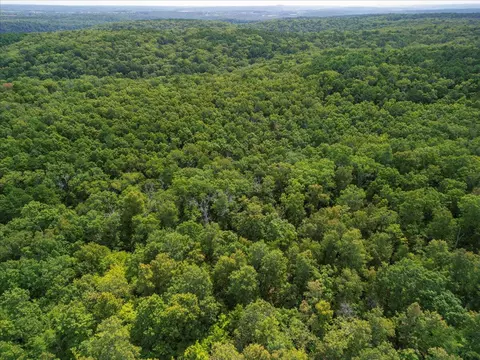 2693 County Road E 14-279 Rd, Dora, MO 65637 photo 35