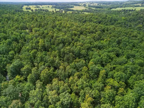 2693 County Road E 14-279 Rd, Dora, MO 65637 photo 34