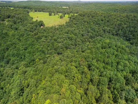 2693 County Road E 14-279 Rd, Dora, MO 65637 photo 33