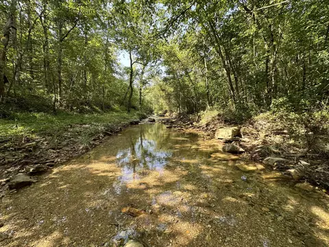 2693 County Road E 14-279 Rd, Dora, MO 65637 photo 4