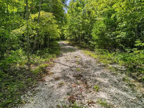 2693 County Road E 14-279 Rd, Dora, MO 65637 photo 42