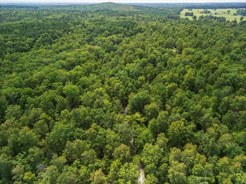 2693 County Road E 14-279 Rd, Dora, MO 65637 photo 37