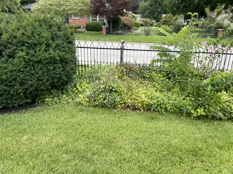 4044 S Broadway Ave, Springfield, MO 65807 photo 38