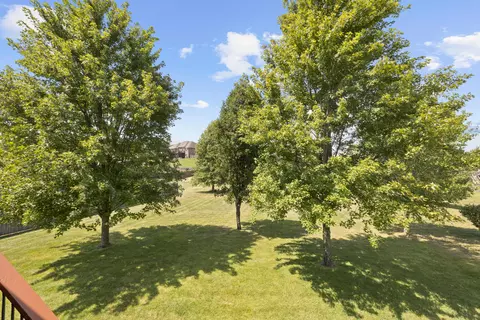 905 N 23rd Ave, Ozark, MO 65721 photo 54