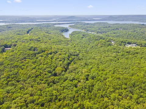 000 Falling Star Rd, Lampe, MO 65681 photo 3